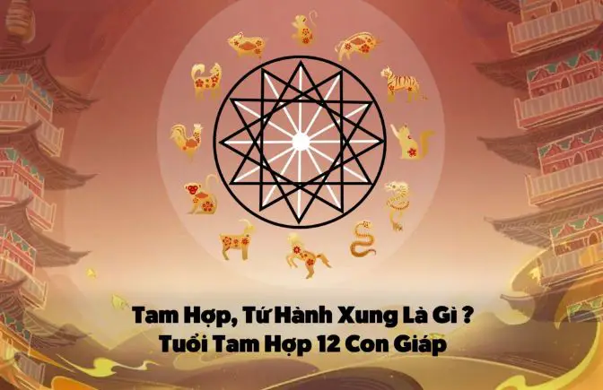 Tam Hp T Hnh Xung L G Tui Tam Hp 12 Con Gip
