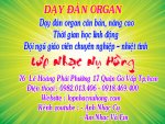 Day dan organ 17