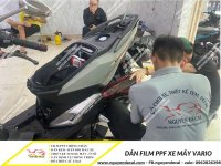 Dan film ppf xe may vario 2